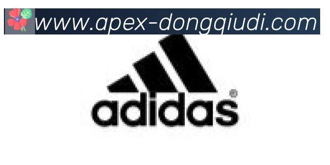 懂球帝直播合作伙伴